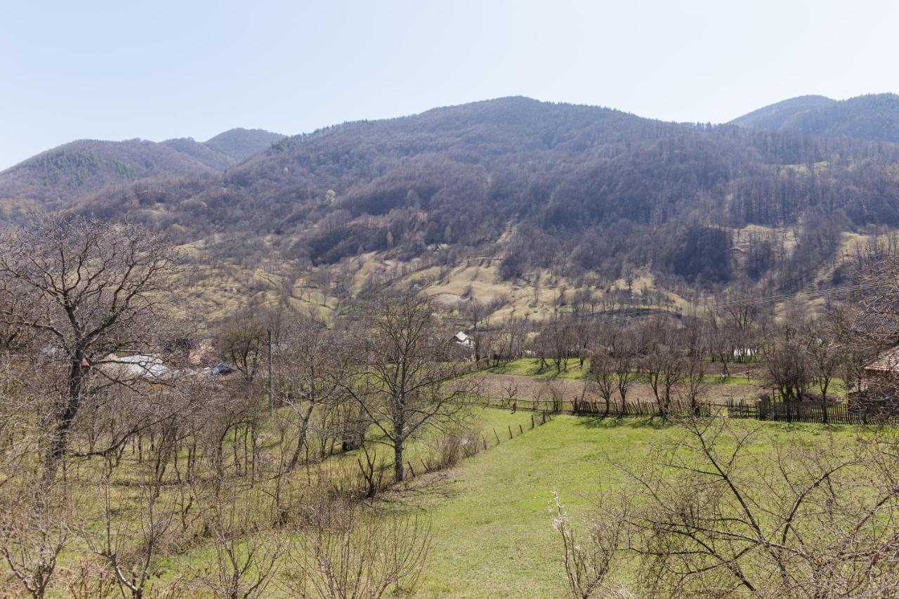 Nook Of Nature Basca Rozilei Kültér fotó
